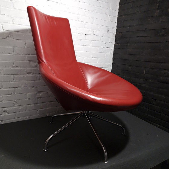 Image 1 of Modèle Nikita par Gerard van den Berg (Label)