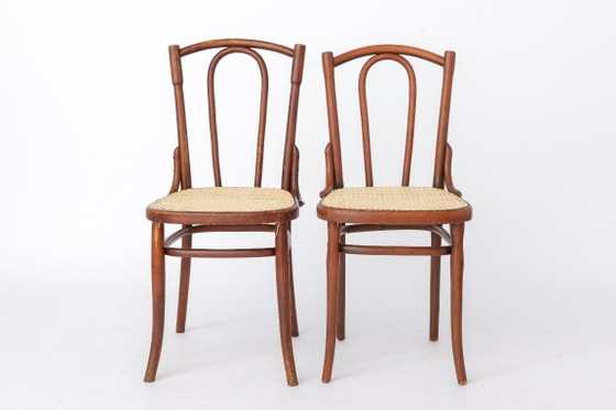 Sedia antica in legno curvato nello stile di Thonet n. 56 | Sedia da bistrot austriaca in rattan | Anni '30 (photo 10 of 11)