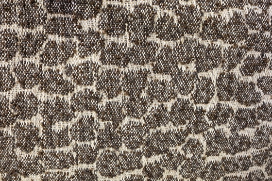 Image 1 of Modell „360“ Sessel von Janusz Różański, Polen, 1950er Jahre, 2er-Set