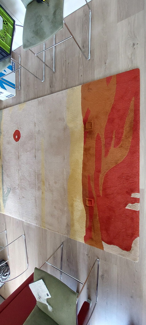 Tapis Millenerpoort 170x240