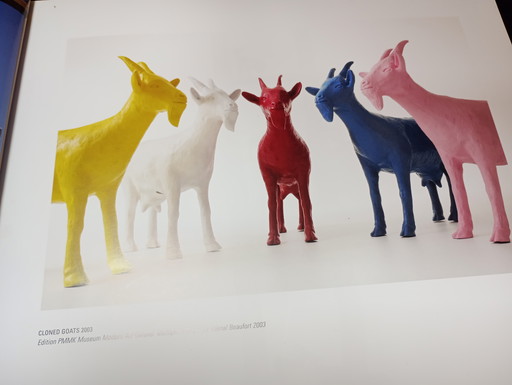 Cloned Red goat sweetlove William 