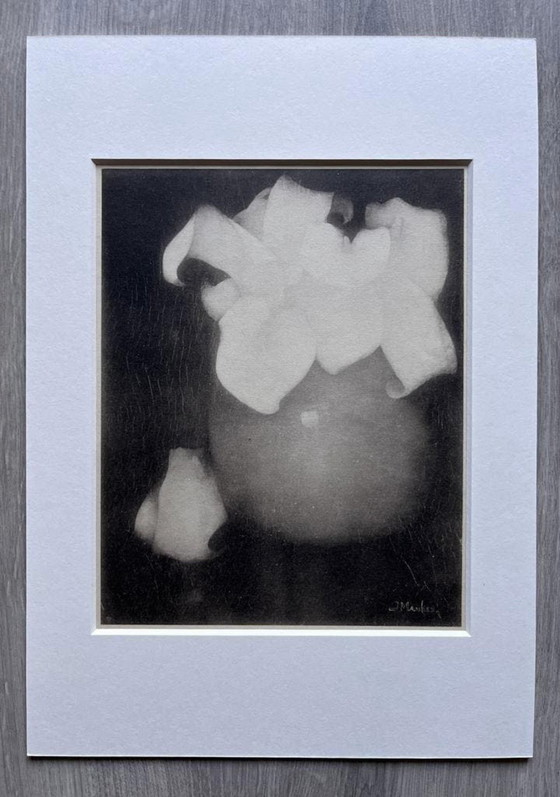 Image 1 of Jan Mankes 1889-1920 / Héliogravure originale Lys Calla 1923