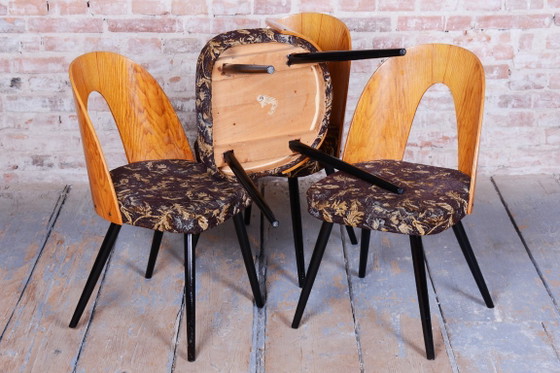Set of Four Restored Mid-Century Chairs, Beech, Oak, Slovakia, 1950-1959 – Tatra Nábytok, Dining chairs (photo 10 of 11)