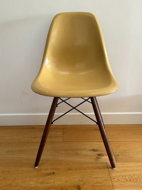 Set di 6 sedie Eames DSW — Herman Miller, scocche originali 1956–1959 – Sedie da pranzo (photo 2 of 10)