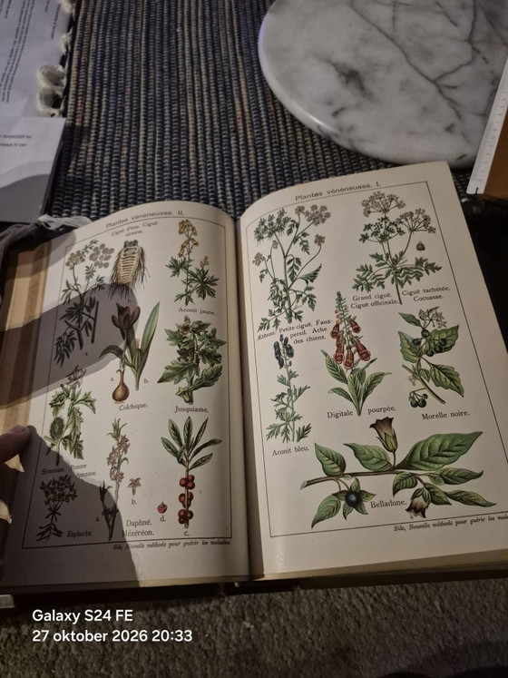 Antico libro medico di riferimento, Libri d'arte, Carta, Tessile, Beige (foto 4 di 15)