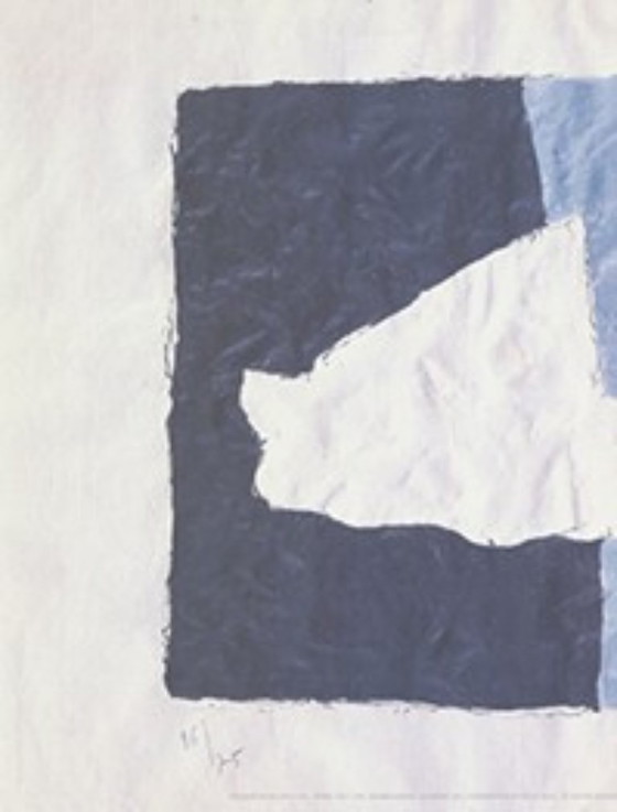 Image 1 of Gesigneerde en genummerde prent van Georges Braque, "Le Canard".