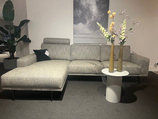 Stylo Bert Plantagei