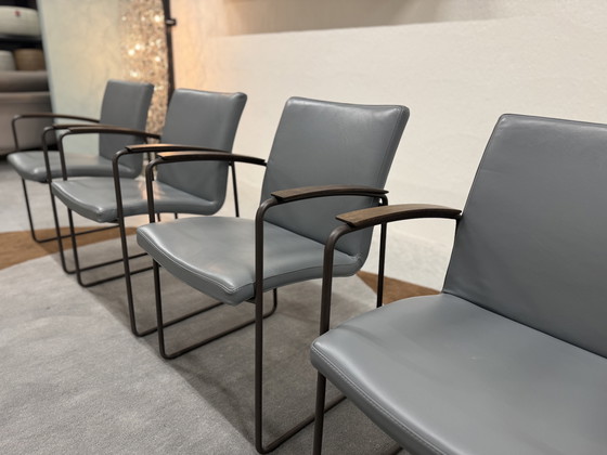 Image 1 of 6 Sedia da pranzo Leolux Talos Ceras Dew Leather