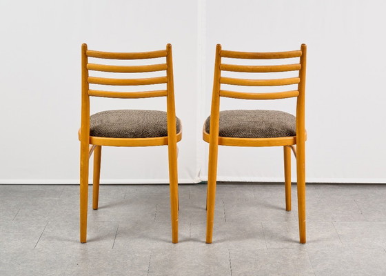 Set di 4 Sedie da pranzo, di TON, anni '60, Cecoslovacchia – Tessile, Legno (photo 8 of 20)