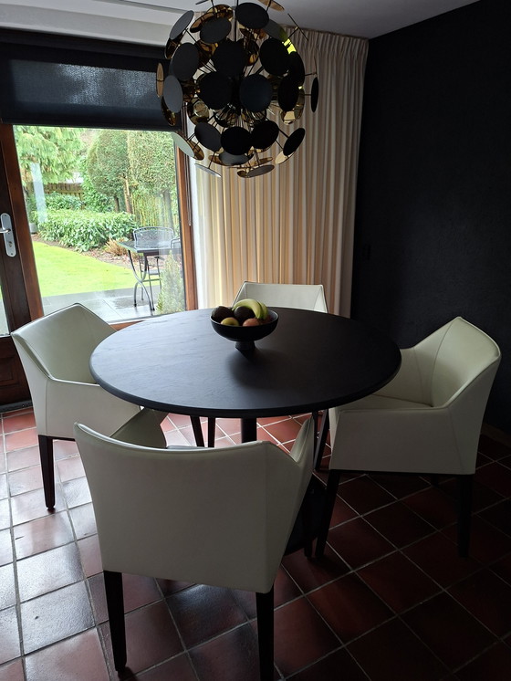 Image 1 of 4 nuove sedie Leolux.