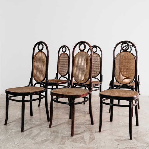 Ensemble de salle à manger 6 chaises Sautto & Liberale, design vintage des années 1950