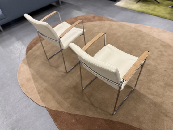 Image 1 of 2 Leolux Talos dining chairs Senso leather