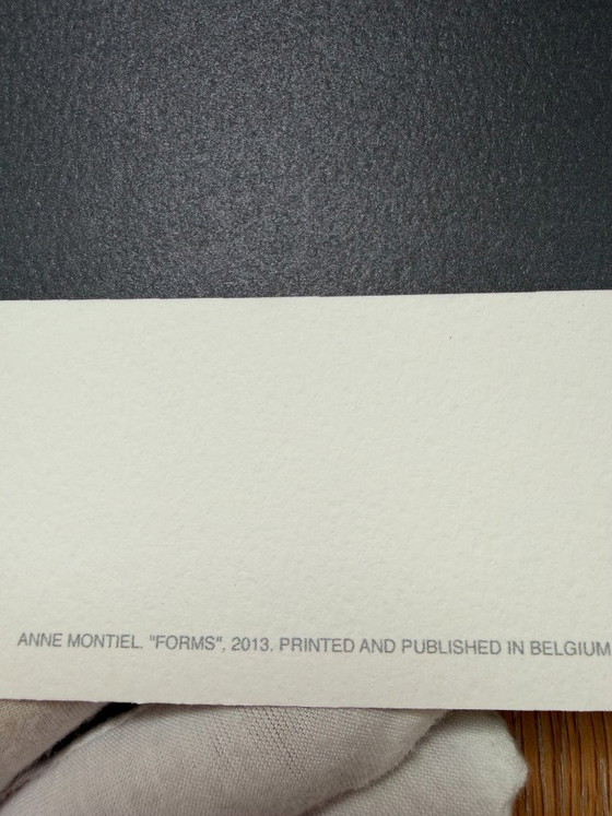 Image 1 of Anne Montiel, Formularios, 2013, Impreso en Bélgica
