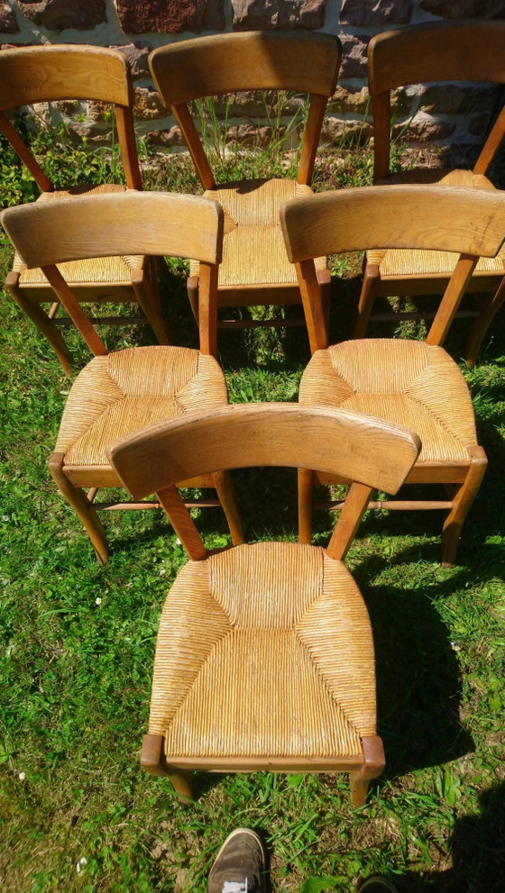 6 sedie da bistrot in paglia e faggio – Sedie da pranzo, Wood, Vintage (photo 7 of 15)