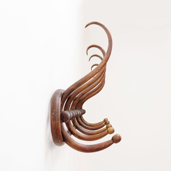 Image 1 of Wandkapstok van gebogen hout in Thonet-stijl – begin 20e eeuw