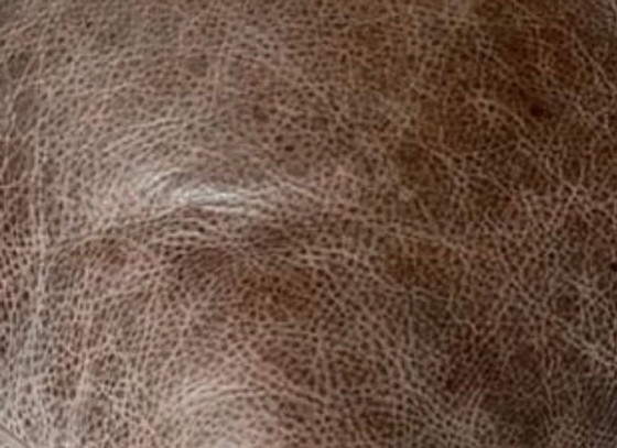 Image 1 of Lederen hoekzetel