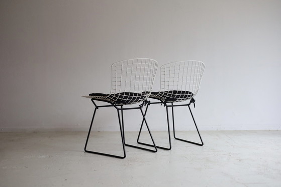 Set di 2 sedie Wire vintage 420, Harry Bertoia – Knoll, Sedie da pranzo, Ferro (photo 4 of 5)