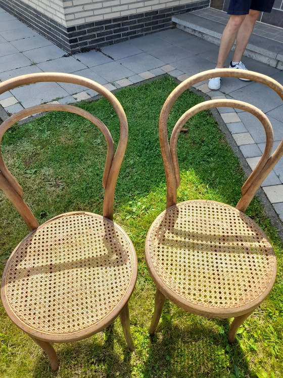 Image 1 of 2 sedie Thonet