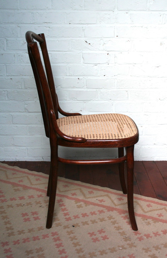 Image 1 of Alter restaurierter Thonet Typ N°56