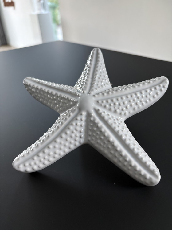 Image 1 of Stella marina decorativa in ceramica bianca smaltata