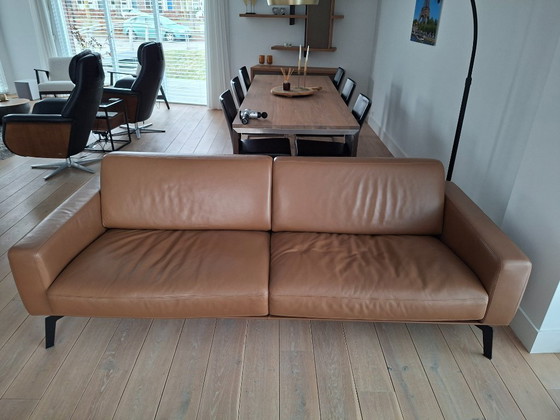 Image 1 of De Sede DS-87 Divano Donna marrone cognac