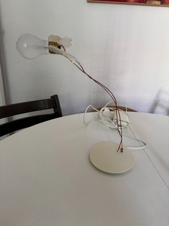 Lampe Ingo Maurer Lucellino avec variateur tactile, 24V – Brass (photo 3 of 8)