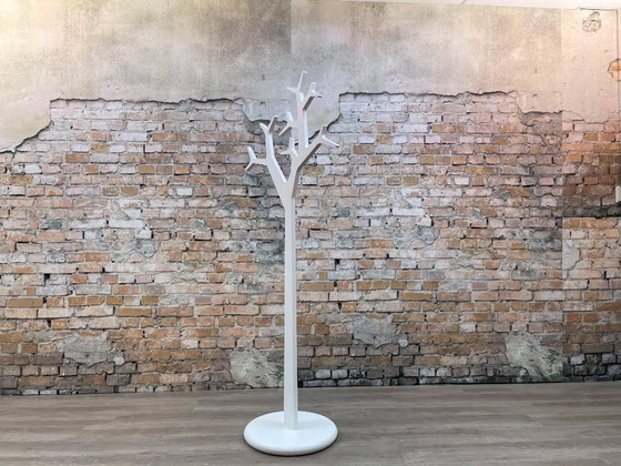 Image 1 of Árbol sueco