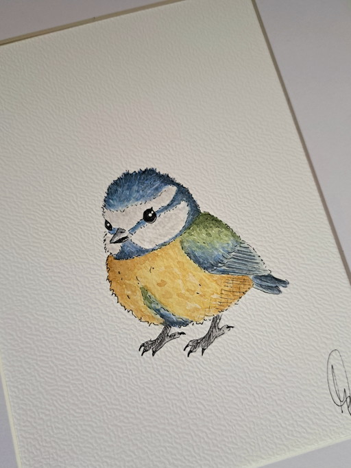 Origineel Aquarel Pimpelmeesje | Inclusief Lijst Frame – schilderijen tekeningen, Paper (photo 2 of 5)