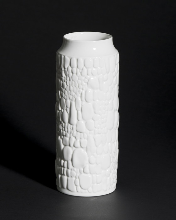 Image 1 of Manfred Frey AK Kaiser Glossy Porcelain Vase Fossil REPTILE Relief Op Art DUO