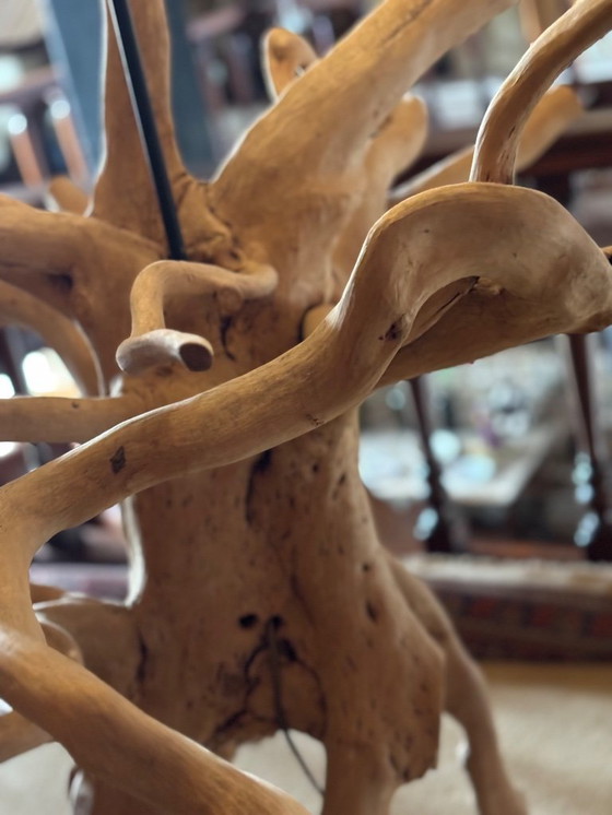 Image 1 of Vloerlamp mangrove 