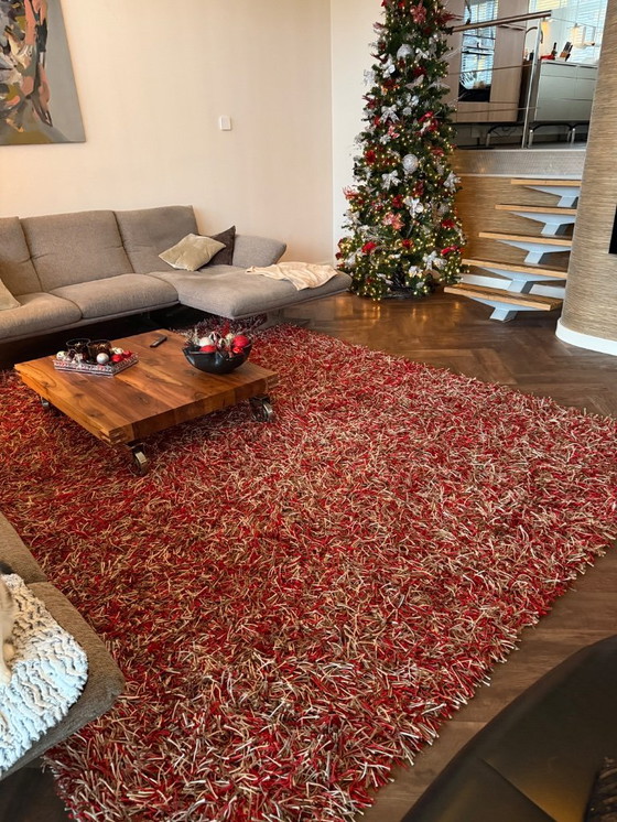 Image 1 of Tapis cocktail Kymo SG Polly Premium – 270 × 340 cm