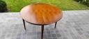 Vintage Extendable Dining Table