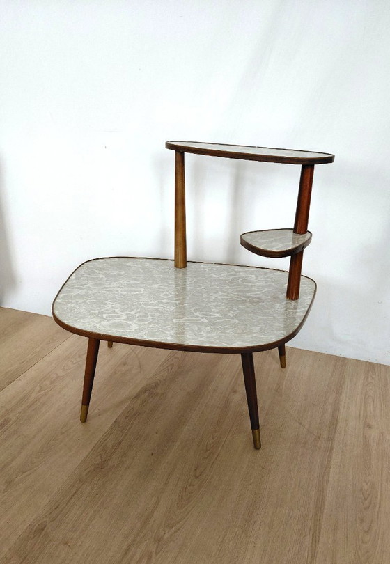 Image 1 of Gran mesa para plantas de los años 50