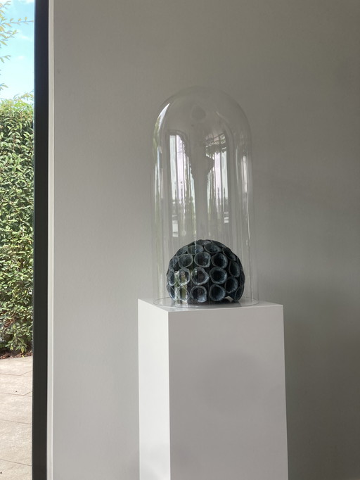 Image de corail dans une céramique gris-bleu