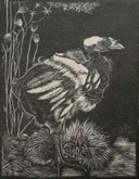 Jan Mankes 1889-1920 / Héliogravure originale Nestkuiken 1923