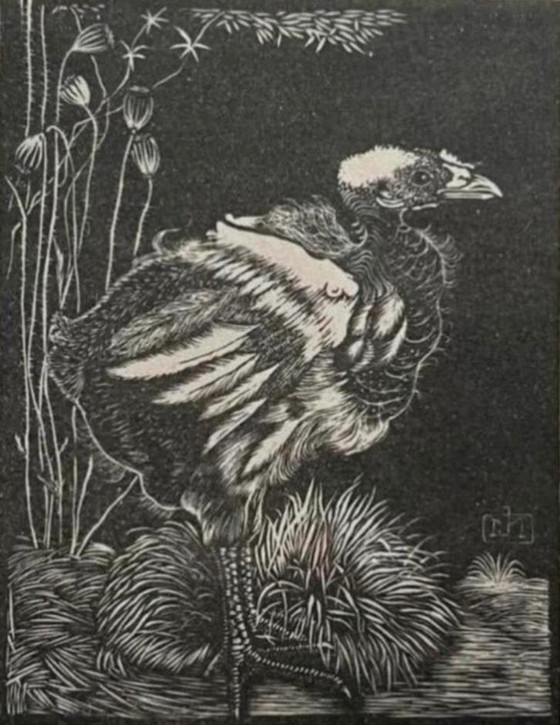 Image 1 of Jan Mankes 1889-1920 / Héliogravure originale Nestkuiken 1923