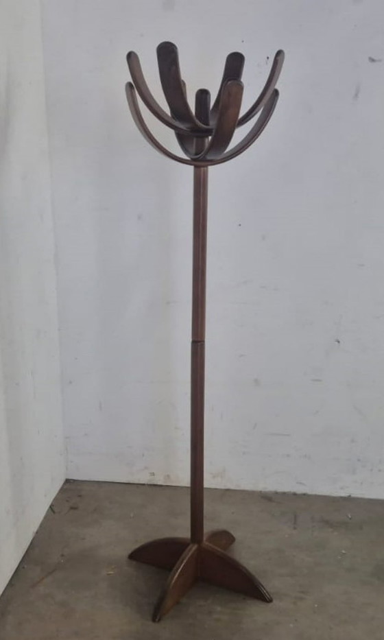 Image 1 of Cactus by Mauro Pasquinelli Coat rack