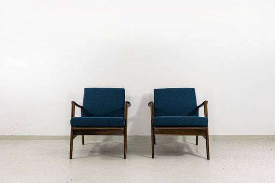 Image 1 of Fauteuil moderne du milieu du siècle par Sfm, Pologne, années 1960
