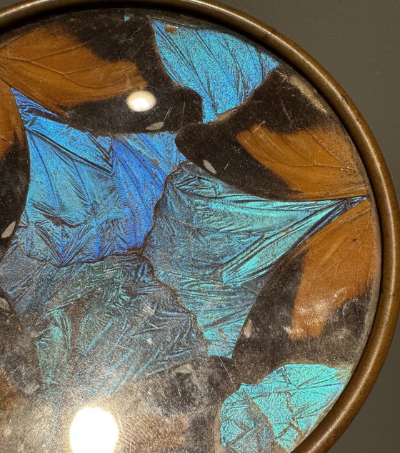Image 1 of Art Deco butterfly wing trinket tray, Billere