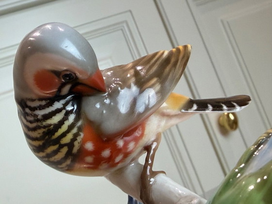 Image 1 of Josef Rieber (JR Duitsland) – Grote handbeschilderde porseleinen vogelgroep – 3 exotische vinken