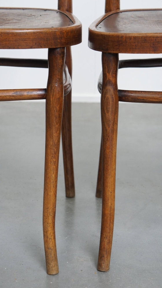 Image 1 of 4 x Antiker Jacob und Josef Kohn Bugholz Design Thonet Stuhl aus dem frühen 20.