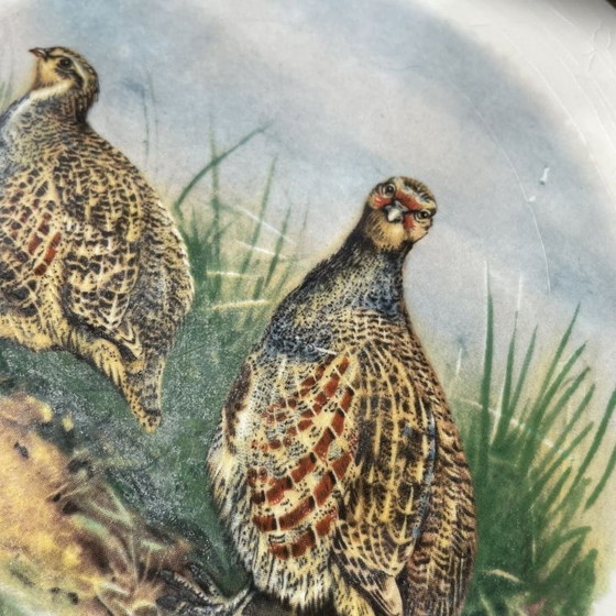 Assiette Décorative Weatherby Royal Falcon Ware de 1972 – Objets déco, Porcelain (photo 5 of 11)