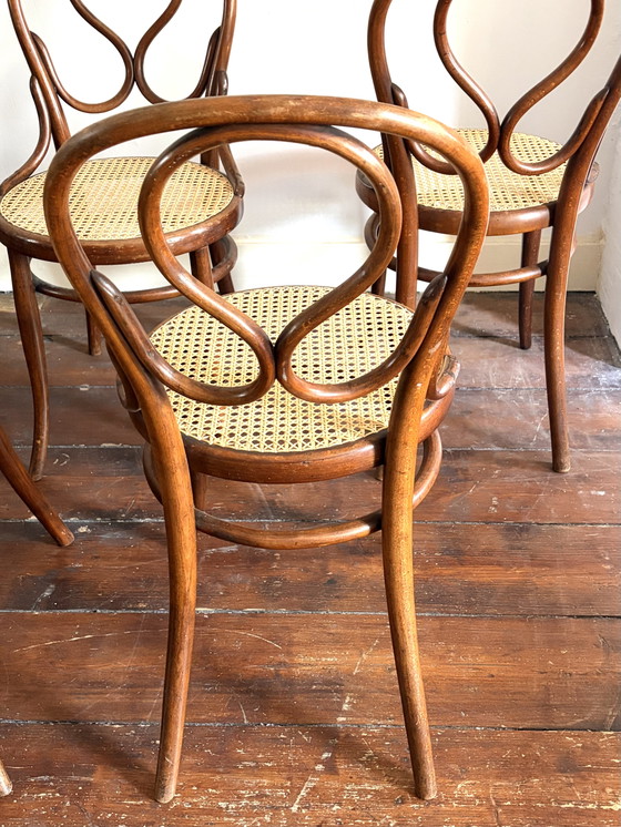 Image 1 of Seltene antike Thonet „Omega“ Modell 20, 5x Esszimmerstuhl aus Bugholz und Gurtband