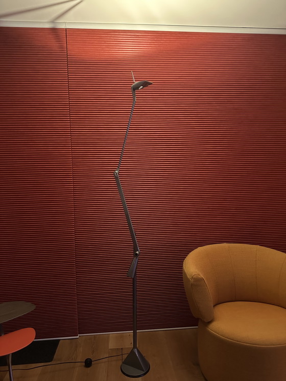 Image 1 of Lampadaire - Lumina "Zelig Terra" par Walter Monici