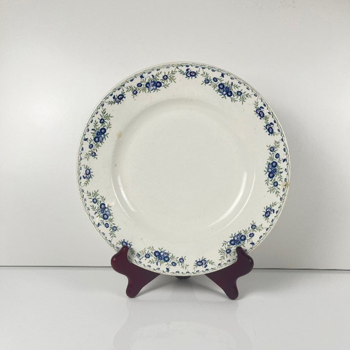 Plat rond "Marguerites", Sarreguemines, 1875 - 1920