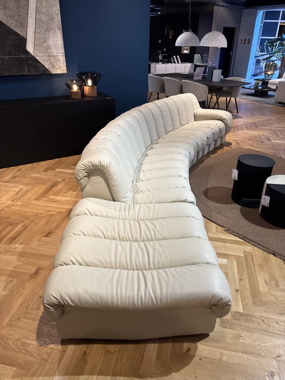 Image 1 of De Sede Snake 18 delen DS600