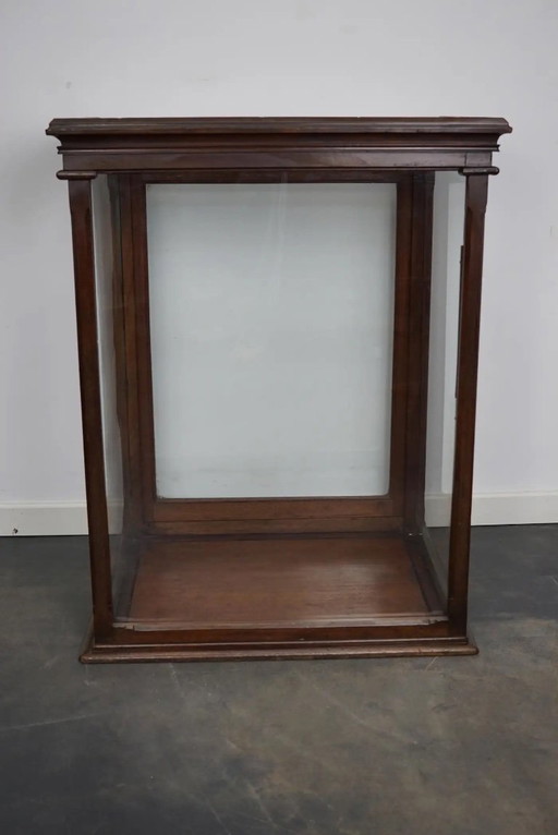 Vetrina vittoriana in mogano per museo/negozio, fine XIX secolo