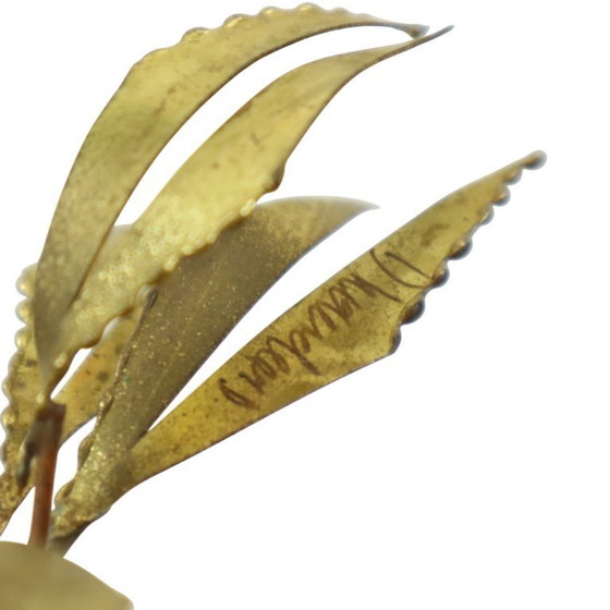 Image 1 of Palma sulla roccia Daniel D'Haeseleer