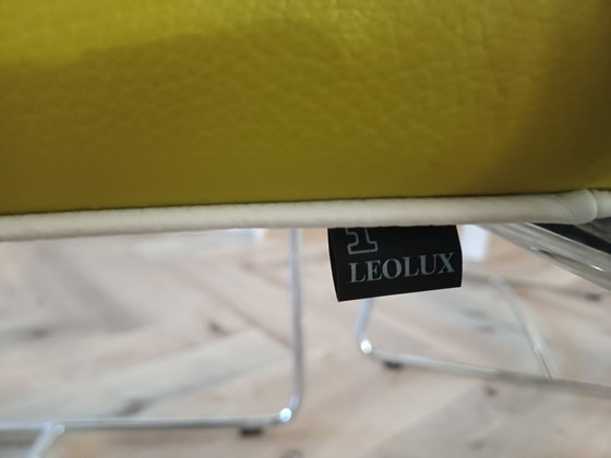 Four Leolux chairs – Dining chairs, Leather, Wood (photo 5 of 5)