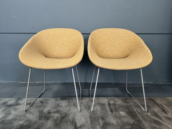 Showroommodel Artifort Beso Stoel – Eetkamerstoelen, Wool (photo 5 of 6)